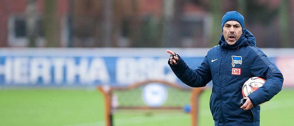 Jos Luhukay, 51, hat nach dem Abstieg im Sommer 2012 als Trainer bei Hertha BSC angefangen. 