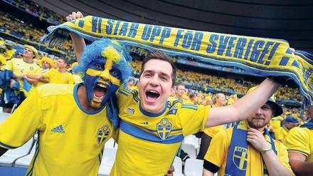  "Hey, ihr Zwerge!" - Die Schweden singen sich beim Spiel gegen Irland in EM-Stimmung.
