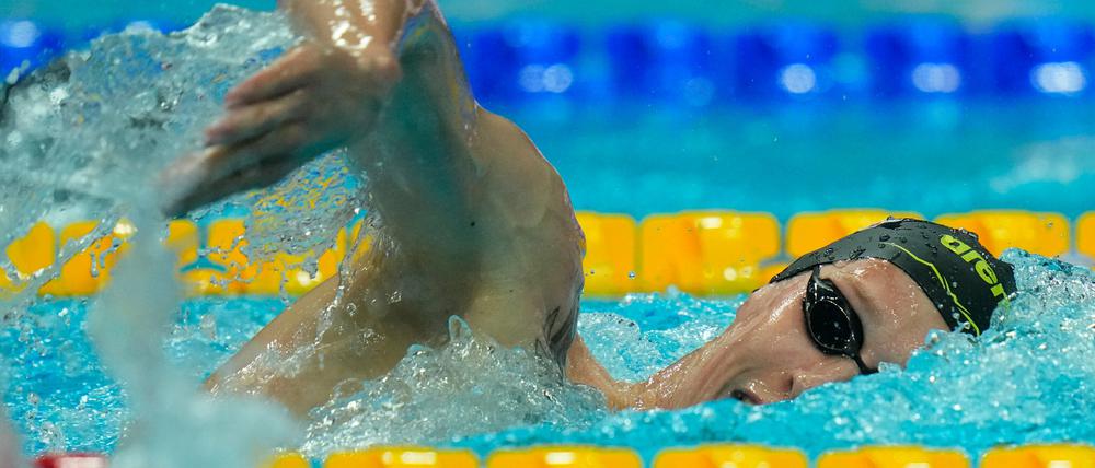 Schwimmen: Weltmeisterschaft, 1500 m Freistil, Männer, Finale: Florian Wellbrock aus Deutschland in Aktion.