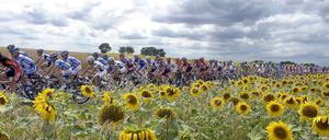 Dieses Jahr findet die 100. Tour de France statt. Immer wieder war Doping der dunkle Begleiter des Sportevents. 