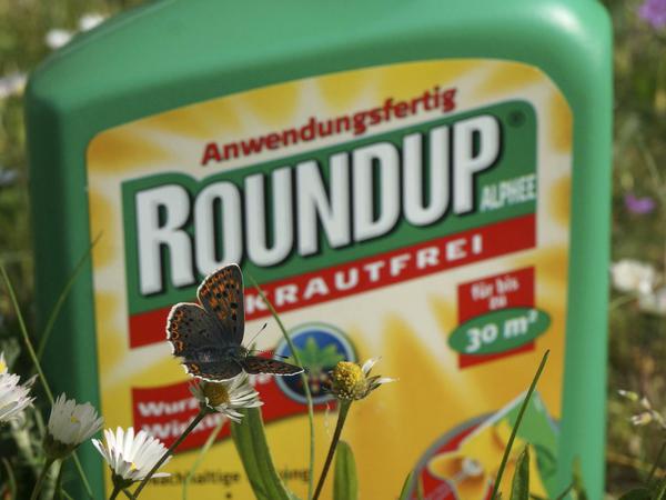 Roundup - Das gängigste Herbizid auf Glyphosat-Basis für Hobbygärtner, hergestellt von Monsanto. 