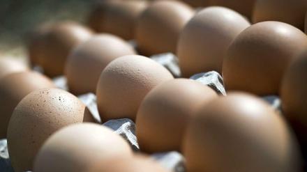 Ein Bio-Ei ist nur dann ein Bio-Ei, wenn die Henne genug Auslauf hatte.