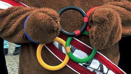 Sollen die Olympischen Spiele in Berlin stattfinden?
