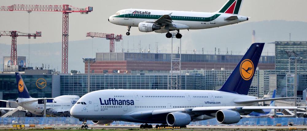  Ein Airbus der Fluggesellschaft Alitalia fliegt am im Landeanflug auf den Flughafen Frankfurt am Main scheinbar über einen Airbus A380 der Lufthansa hinweg. Die Regierung in Rom hat diese Wocheandere Airlines ermuntert, für die verschuldete Fluggesellschaft zu bieten.