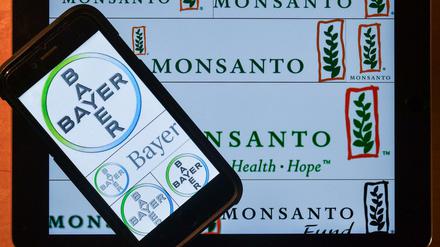 Übernahmepläne. Die Kartellbehörden müssen die Offerte von Bayer an Monsanto noch prüfen.