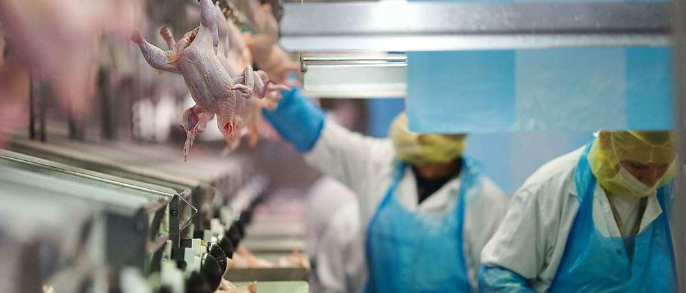 In Geflügel-Schlachthöfe, etwa hier in Möckern, gebe es oft ein Problem mit Keimen, sagen Experten. 
