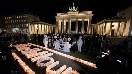 Vor wenigen Tagen sind zum zehnten Mal die Beleuchtungen berühmter Gebäude während der sogenannten "Earth Hour" für eine Stunde abgeschaltet worden. Die Umweltstiftung WWF koordiniert dieses weltweiten Aktionstag wie hier am Brandenburger Tor in Berlin seit Jahren - es ist die wohl größte Klimademonstration des Jahres. 