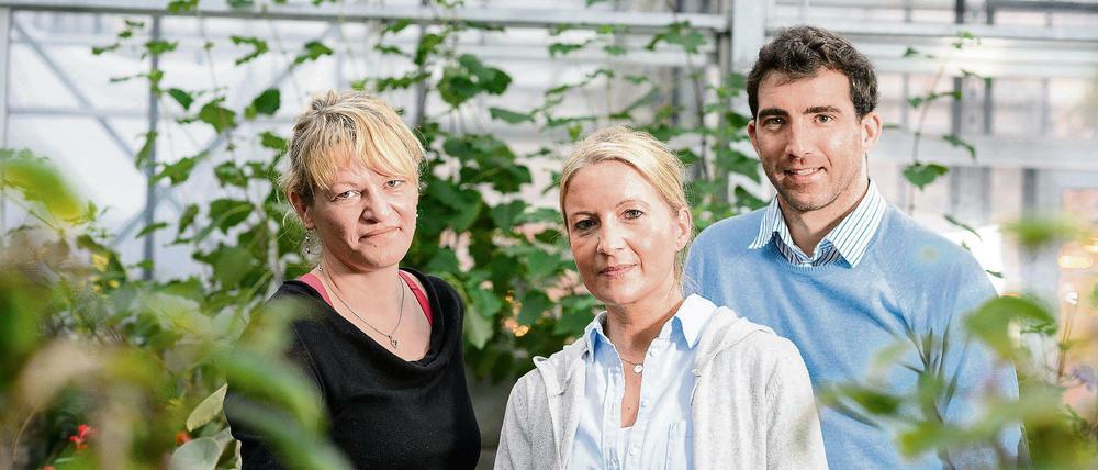 Das GreenLab betreiben Sabine Schäfer (41), Ines Eichholz (44) und Daniel Kania (31) in Berlin-Tiergarten.