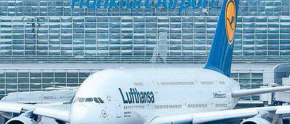 Deutscher Pendler. Zwischen Frankfurt und Hamburg soll künftig viermal täglich eine Lufthansa-Maschine mit Biosprit fliegen. Foto: dpa