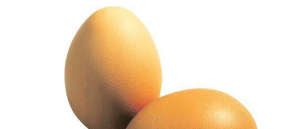 Nach dem Willen der EU soll es bald keine Eier aus Legebatterien-Produktion mehr geben.