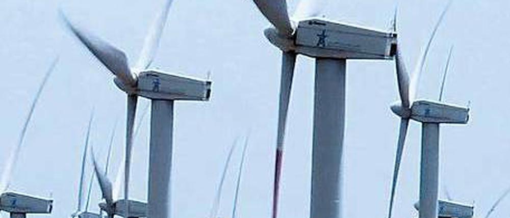 Windpark in Tanger. Die Windräder an der marokkanischen Küste sind Teil des Energienetzwerks, das Desertec knüpfen will. Marokko spielt bei diesen Plänen eine große Rolle. Foto: pa/dpa