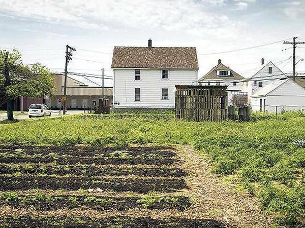 "Terra Farms", eines von vielen kleinen Landwirtschaftsprojekten in Detroit. Diese Farm betreiben die Veganer Sam und Katelyn Becze.