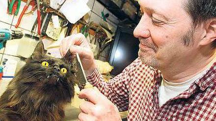 Seit über 40 Jahren präpariert Stephan Klaue Tiere.