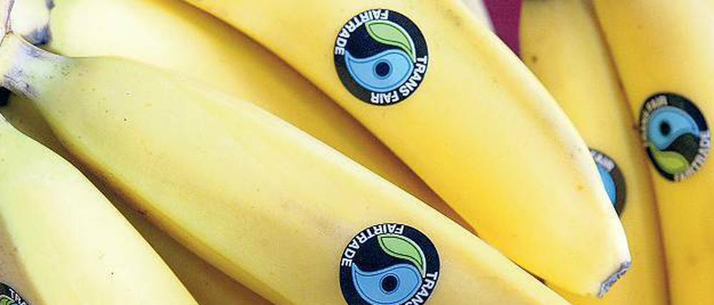 Bananen waren 2014 ein Zugpferd für das Wachstum des fairen Handels in Deutschland. Dabei waren die meisten fair gehandelten Bananen auch Bio: Von den 51 verkauften Tonnen trugen 98 Prozent ein Bio-Siegel. Foto: Jörg Carstensen/dpa