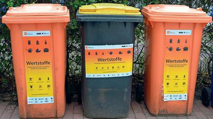 Sonderfall Berlin. Seit 1991 ist grundsätzlich die private Entsorgungswirtschaft für Plastikabfälle zuständig. Die Kommunen wollen das ändern. In Berlin einigte sich die private Alba 2013 mit der landeseigenen BSR auf eine „gemeinsame Wertstofftonne“.