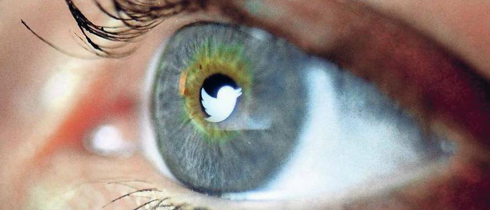 Gespiegelt. Das Twitter-Symbol im Auge einer Userin. Rund 320 Millionen Menschen nutzen den Nachrichtendienst.
