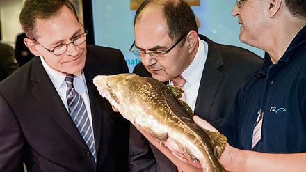 Ist der Fisch frisch? Agrarminister Christian Schmidt (in der Mitte) und Berlins Regierender Bürgermeister Michael Müller halten die Nasen dran auf der Grünen Woche.