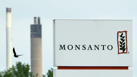 Die US-Saatgutfirma Monsanto lehnt das aktuelle Übernahmeangebot von Bayer ab. 