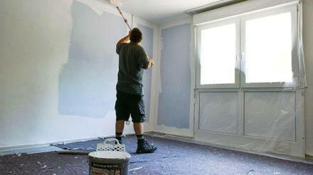 Ohne Steuererleichterungen für Malerarbeiten wird Schwarzarbeit attraktiver, warnt ein Experte.