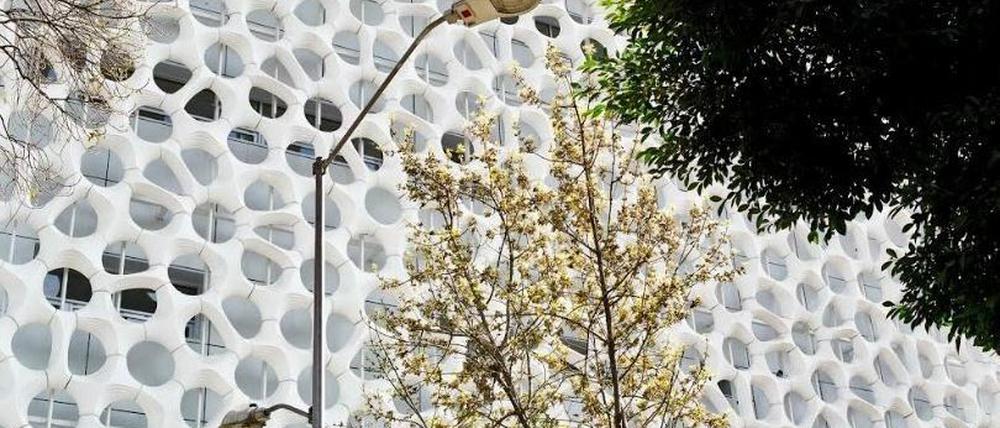 Fassade "frisst" Smog: Das Berliner Architektenbüro Elegant Embellishments hat für ein Krankenhaus in Mexiko-City eine intelligente Fassade gebaut.   