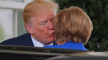 Donald Trump begrüßt Angela Merkel am Weißen Haus.