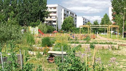 Der Bürgergarten Helle Oase ist eines der vielen Projekte, die Hellersdorf noch lebenswerter gemacht haben.