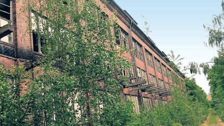 Das ehemalige Heeresbekleidungshauptamt in Bernau ist aus unkaputtbarem Stahlbeton gebaut, der mit Backsteinen verklinkert wurde. 