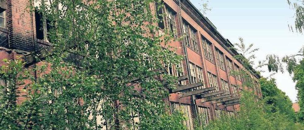 Das ehemalige Heeresbekleidungshauptamt in Bernau ist aus unkaputtbarem Stahlbeton gebaut, der mit Backsteinen verklinkert wurde. 