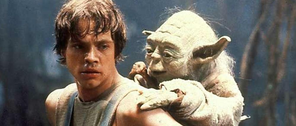 Ein wahrer Mentor treibt seinen Schüler zu Höchstleistungen an – wie der Jedi-Meister Yoda den jungen Luke Skywalker in „Star Wars“. 