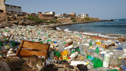 Plastikmüll in den Meeren. schadet Tier und Umwelt. 