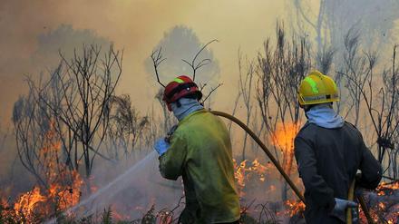 Vernichtet. Ein Feuer zerstört einen Wald in Portugal. Infolge des Klimawandels wird es künftig häufiger zu solchen Bränden kommen, vermuten Wissenschaftler. 