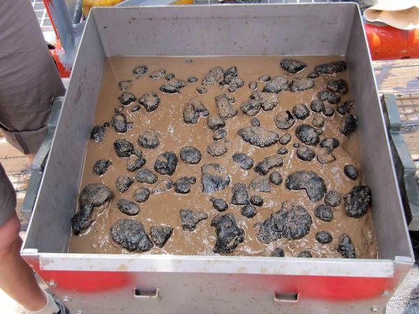 An Deck geholt. Forscher der Bundesanstalt für Geowissenschaften und Rohstoffe haben mithilfe eines Kastengreifers ein Stück Meeresboden mit den begehrten Manganknollen an die Oberfläche gebracht. 