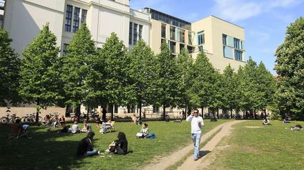 Studierende sitzen vor einem Unigebäude im Gras.