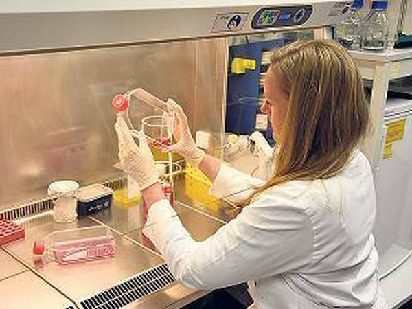 Eine Mitarbeiterin in Michael Veits Labor - hier werden Lipide aus Viren extrahiert wie sie bei Menschen und Vögeln vorkommen. 