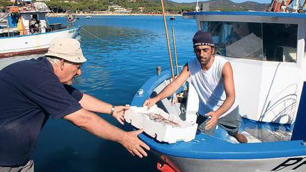 Gold aus dem Meer. Und her damit, bevor ein anderer kommt! Frische Fische, am frühen Morgen direkt vom Boot geliefert, sind auch im Hafen des elbanischen Marina di Campo heiß begehrt. 