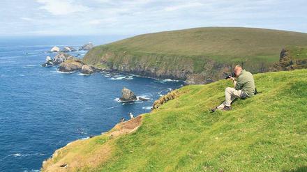 Scheuchen nicht erwünscht. Auf die Shetlandinseln zieht es insbesondere Vogelfreunde, die hier in großer Abgeschiedenheit auf Beobachtungsposten gehen können. 