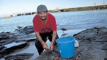 Ein Leben land Fischer. Der 72-jährige Cesarioist der Insel treu geblieben. Er wohnt, wie wenige, noch immer das ganze Jahr über hier. 