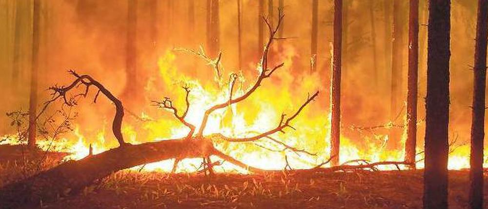 Raub der Flammen. Während der vergangenen Tage haben in Russland mehr als 200.000 Hektar Land gebrannt. Eine außergewöhnliche Hitzewelle begünstigte die Feuer. 