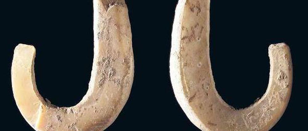 Petri heil. Steinzeitliche Angelhaken aus Muschelschalen. Foto: Sue O'Connor