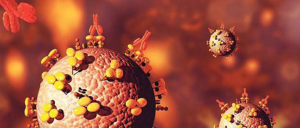 Wunschvorstellung. Wissenschaftler wollen einen Impfstoff entwickeln, der das Immunsystem anregt, Antikörper (rot) zu produzieren, die sich an die Viren heften und sie unschädlich machen.