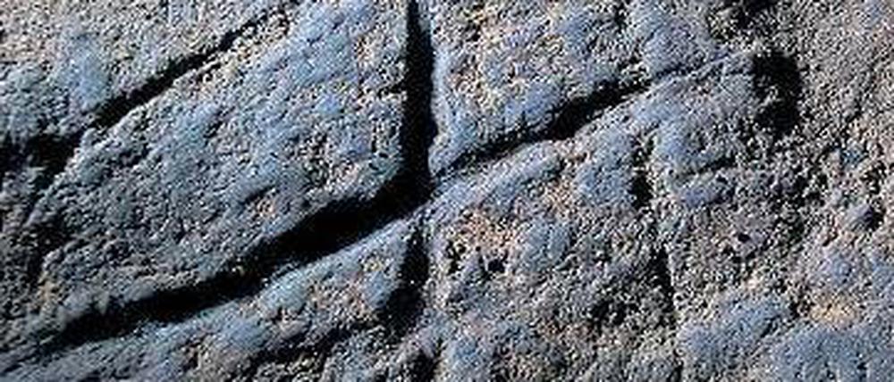 Kratzer. Das Muster in der Gorham-Höhle ist mehr als 39 000 Jahre alt. 