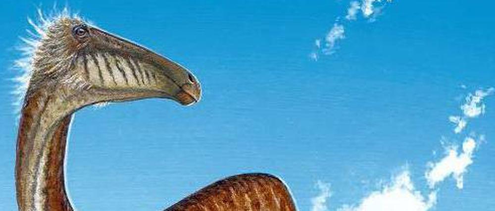 Komischer Vogel. So sah Deinocheirus mirificus aus – vielleicht.