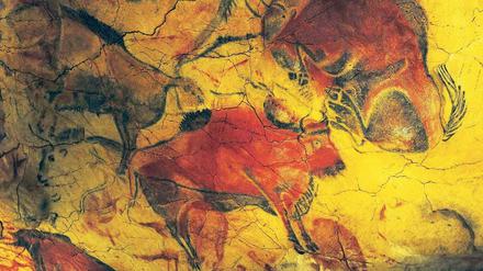 Von Tieren und Menschen, von der Jagd und von der Liebe. Die Höhlenmalereien von Altamira waren die ersten steinzeitlichen Felsbilder, die entdeckt wurden. 