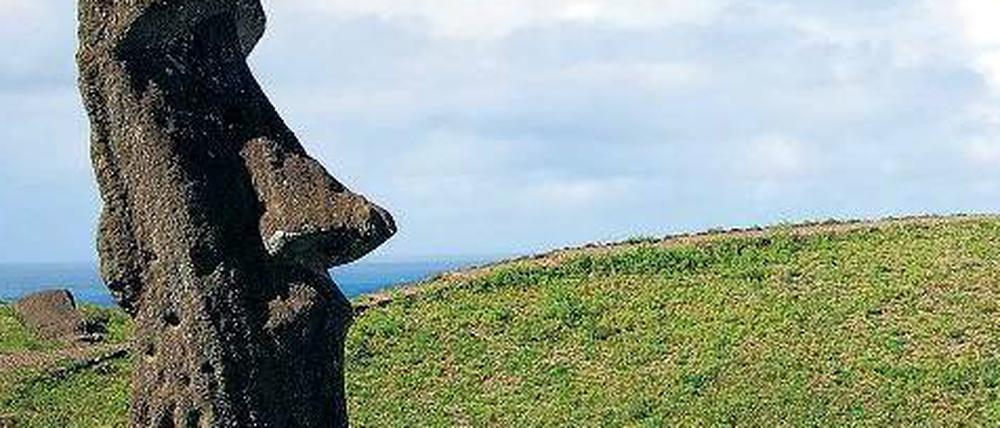 Das ursprünglich wohl aus Polynesien stammende Volk der Rapa Nui schuf die Moai, die riesigen Steinköpfe auf der Osterinsel.