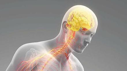 Überschießende Nervenimpulse aus dem Gehirn machen koordinierte Bewegungen unmöglich. Daher ist Zittern oft das erste Symptom von Parkinson. 