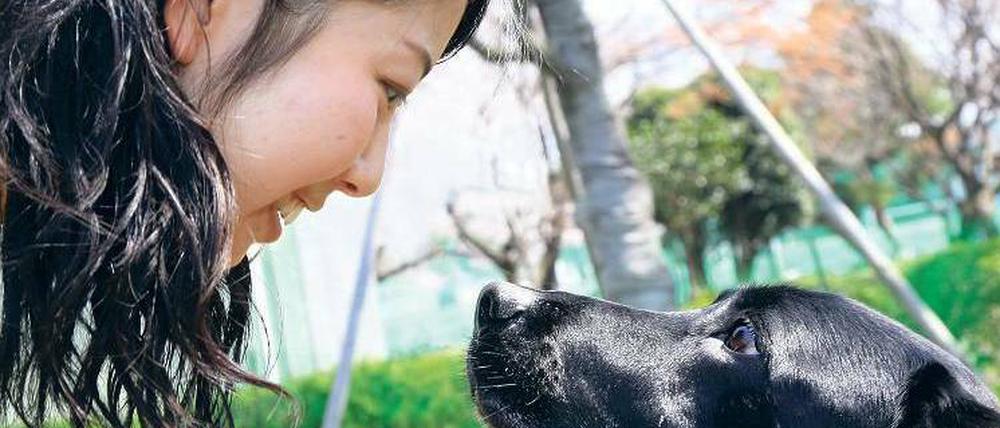 Echte Freundschaft. Im Laufe der Jahrtausende entdeckten Hunde zufällig einen Weg in die Herzen ihrer menschlichen Besitzer: möglichst lange Blickkontakt halten.