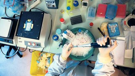 Ein Wissenschaftler pipettiert an einem Labortisch, auf dem ein mit Eis und Reagenzgläsern gefüllter Eimer steht.