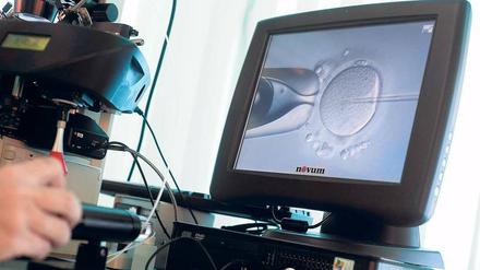 Spermien in Eizellen zu spritzen ist Routine in Befruchtungskliniken. Jetzt kann so auch mit unreifen Samenzellen Nachwuchs gezeugt werden.