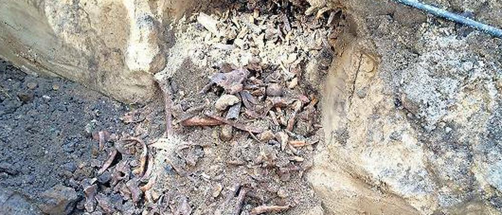 Überreste von 15 Menschen. Archäologen hatten seit 2014 an der FU gegraben.