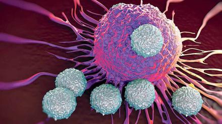 Eine Impfung mit RNS-Molekülen kann der Körperabwehr helfen, Tumoren schneller zu erkennen und zu bekämpfen – wie in dieser Abbildung, wo mehrere Immunzellen eine Krebszelle angreifen. 
